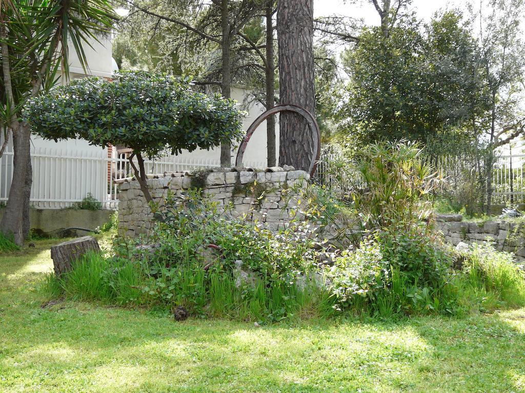B&B Villa Garden บิสเชลเย ภายนอก รูปภาพ